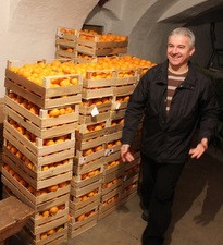 Caritasove mandarine podijeljene potrebitima